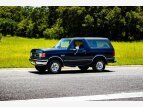 Thumbnail Photo 63 for 1989 Ford Bronco